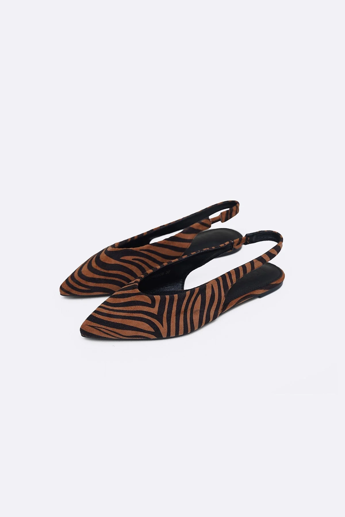 JUNGLE FLATS - Image 5