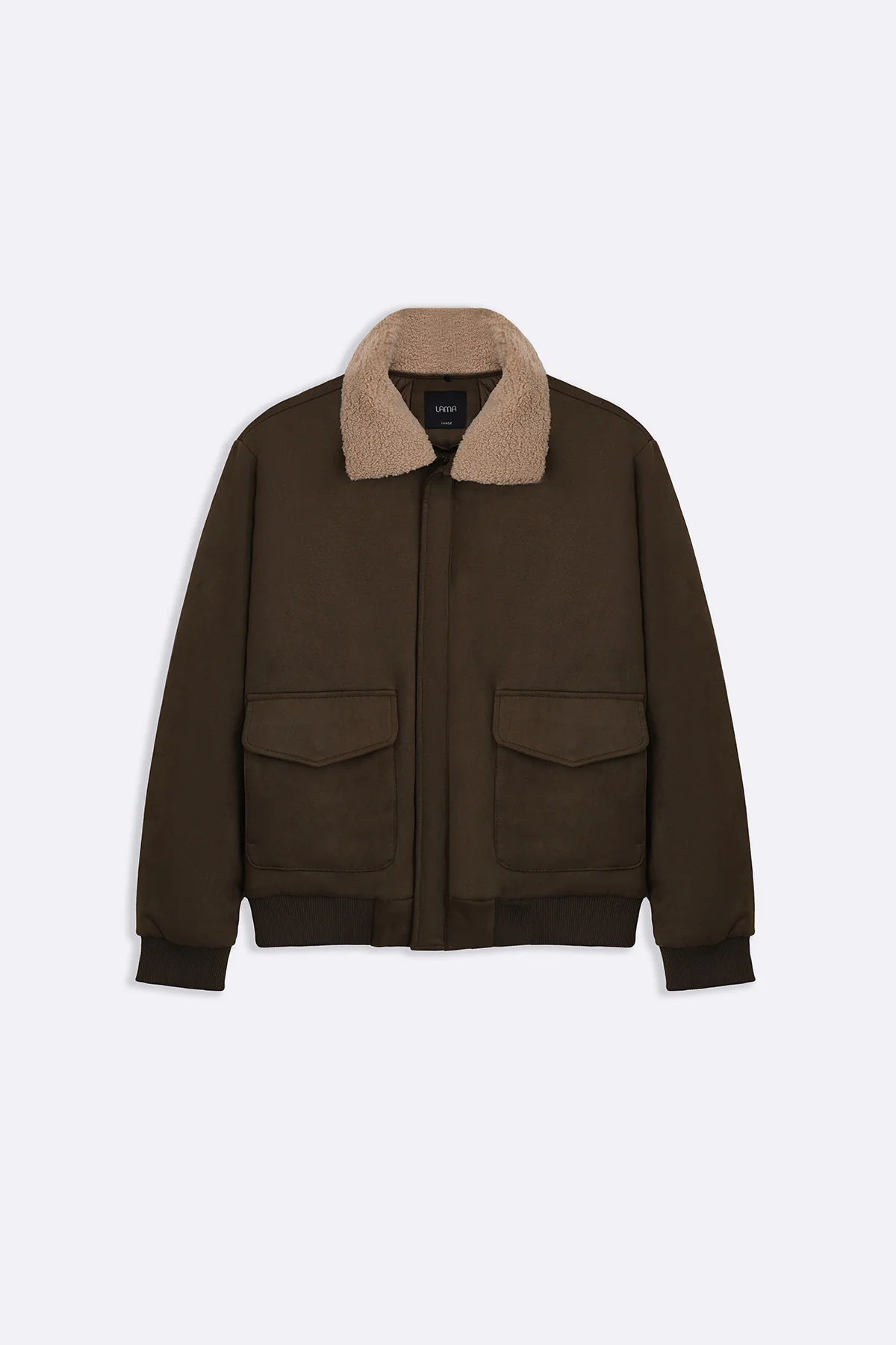 SUEDE AVIATOR JACKET - Image 3